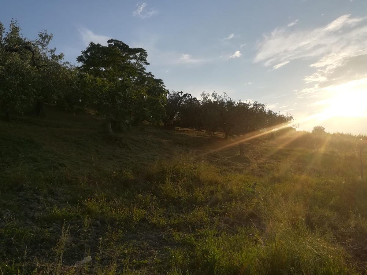 Agriturismo La Ruelle Villa Atessa Kültér fotó