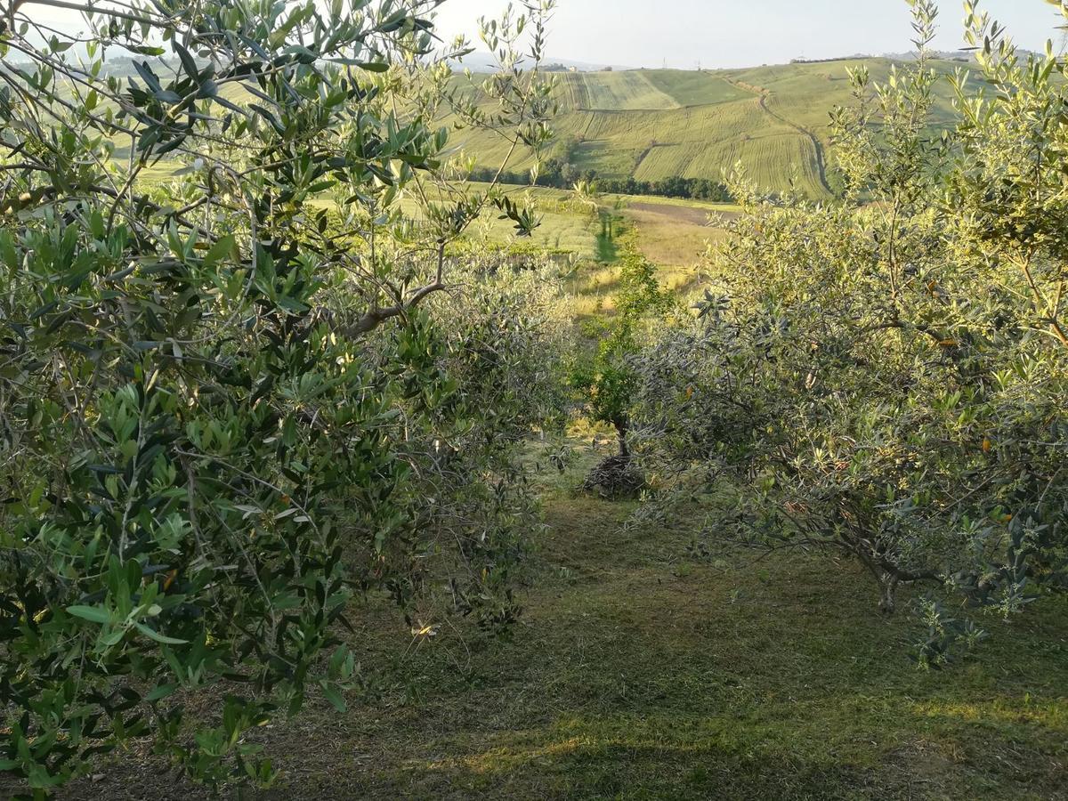 Agriturismo La Ruelle Villa Atessa Kültér fotó